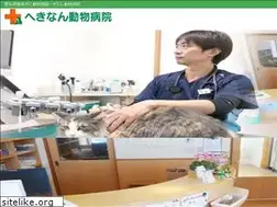 Sites similar to hekinan-ah.com