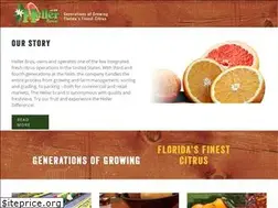 Sites similar to hellerbros.com