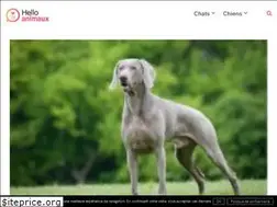Sites similar to helloanimaux.fr