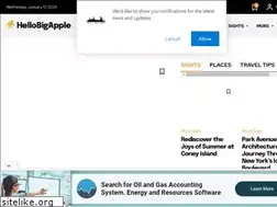 Sites similar to hellobigapple.net