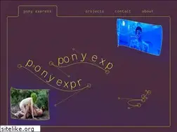 Sites similar to helloponyexpress.com