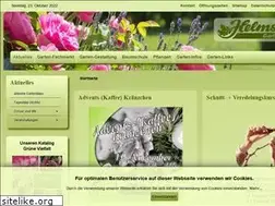 Sites similar to helmstetter.de