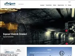 Sites similar to helyumelektrik.com