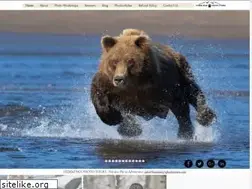 Sites similar to hemmingsphototours.com