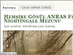 Sites similar to hemsiregonulanras.wordpress.com
