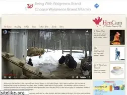Sites similar to hencam.com
