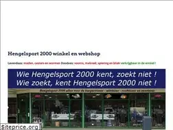 Sites similar to hengelsport2000.com