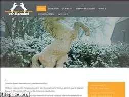 Sites similar to hengstenhouderijvanbommel.nl