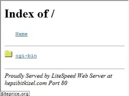 Sites similar to hepsibitkisel.com