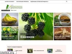 Sites similar to herbal-grass.com