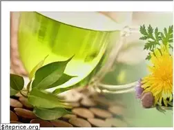 Sites similar to herbalmedicinefans.com