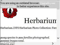 Sites similar to herbarium.info