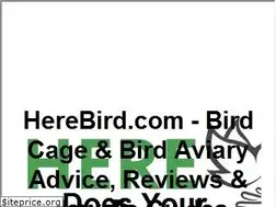 Sites similar to herebird.com