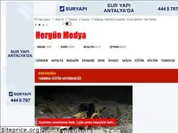 Sites similar to hergunmedya.com