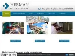 Sites similar to hermanolsen.dk