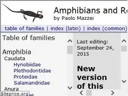 Sites similar to herp.it