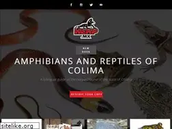 Sites similar to herp.mx
