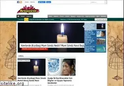 Sites similar to herseyicin.com