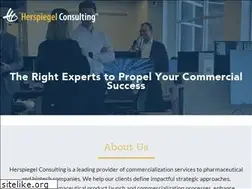 Sites similar to herspiegelconsulting.com