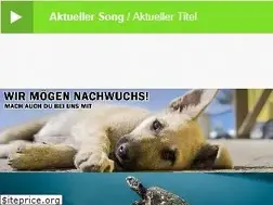 Sites similar to hertz879.de