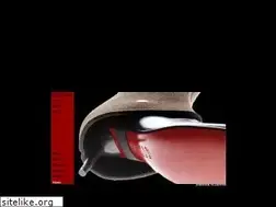 Sites similar to hestervlamings.com