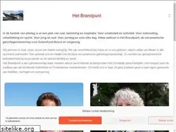 Sites similar to hetbrandpunt.net