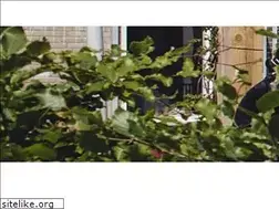 Sites similar to hetgein.nl