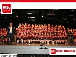 Sites similar to hetsnellewiel.nl