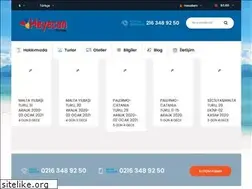 Sites similar to heyecanturizm.com