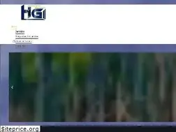 Sites similar to hgi-consultora.com