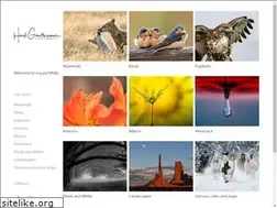 Sites similar to hgxphotography.com