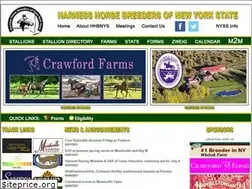 Sites similar to hhbnys.com