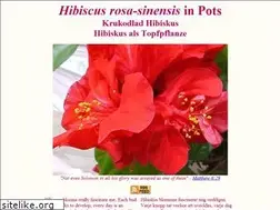 Sites similar to hibiscus-sinensis.com