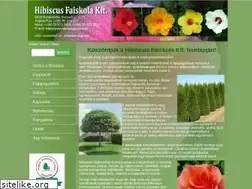 Sites similar to hibiscusfaiskola.hu