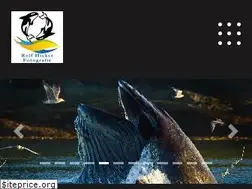 Sites similar to hicker.de