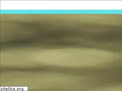 Sites similar to hidamommy.com