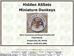 Sites similar to hiddenassetsdonks.com