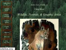 Sites similar to hiddenvalleywildlifeart.com