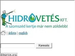Sites similar to hidrovetes.hu