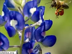Sites similar to hieran.com