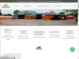 Sites similar to hierrosur.com.uy