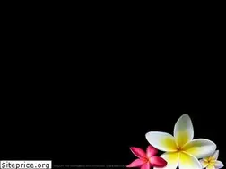 Sites similar to higashi.com.tw