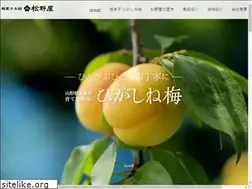 Sites similar to higashine-matsunoya.jp