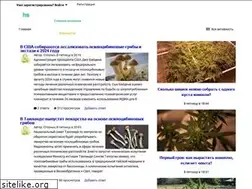 Sites similar to high-stone.org