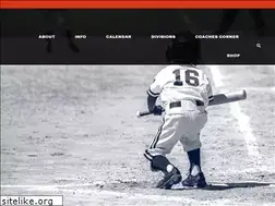 Sites similar to highparkbaseball.com