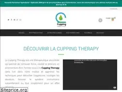 Sites similar to hijama-troyes.fr
