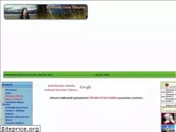 Sites similar to hikayearsivi.net