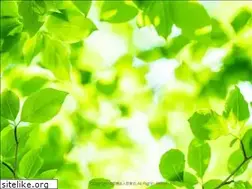 Sites similar to hikoboshi-kai.or.jp