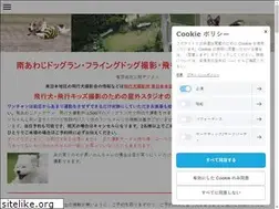 Sites similar to hikouken.com