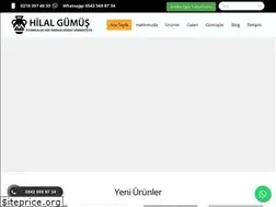 Sites similar to hilalgumus.com